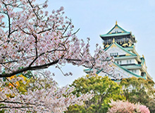 安卓版-国青留洋门将：梦想立足五大联赛 知道与他人差距